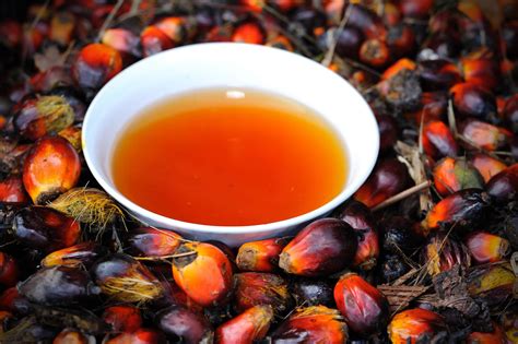 Palm Oil